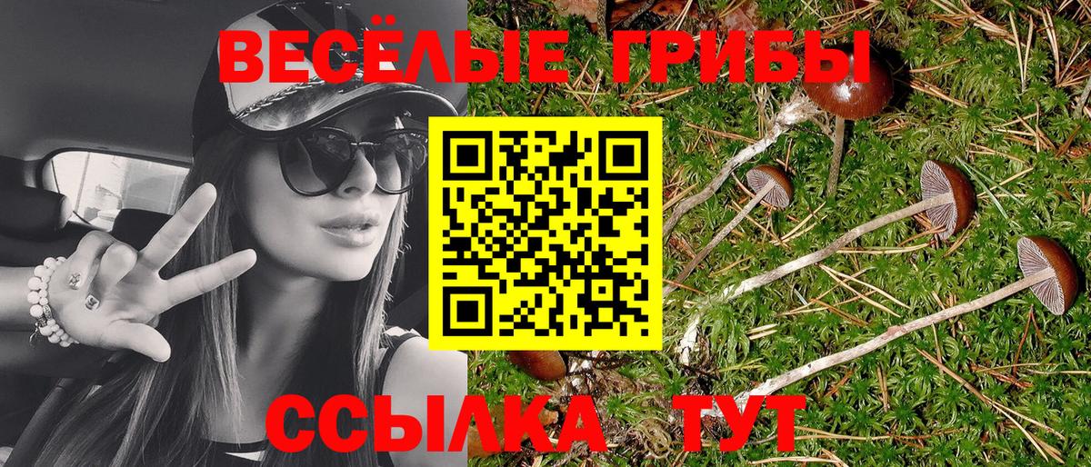 Псилоцибиновые грибы GOLDEN TEACHER  Галлюциногенные грибы прущие грибы  Черногорск  Вход с VPN 
