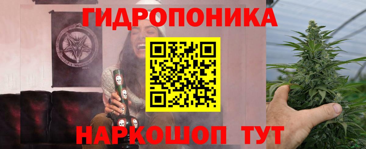 Черногорск  Марихуана Bruce Banner  Вход с VPN  МАРИХУАНА OG Kush  Каннабис LSD WEED  Шишки марихуана гибрид 